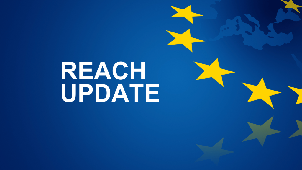 ECHA REACH Update